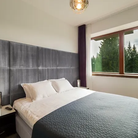 Silver Mountain A21 Friendly Apartment