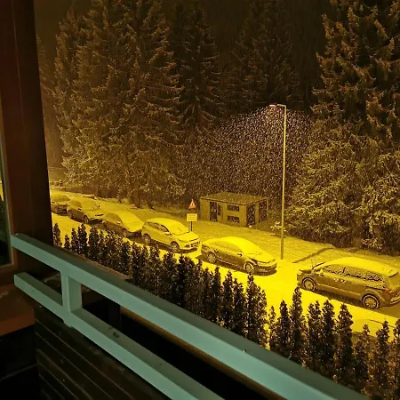 Silver Mountain A21 Friendly * Poiana Brasov