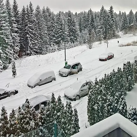 Silver Mountain A21 Friendly Apartment Poiana Brasov