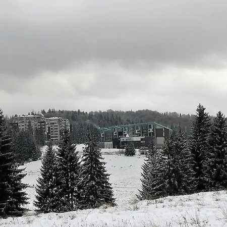 Silver Mountain A21 Friendly Apartment *