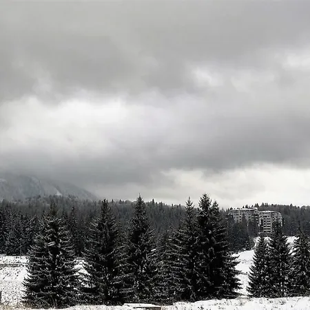 Apartment Silver Mountain A21 Friendly