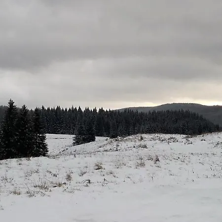 Silver Mountain A21 Friendly Apartment Poiana Brasov