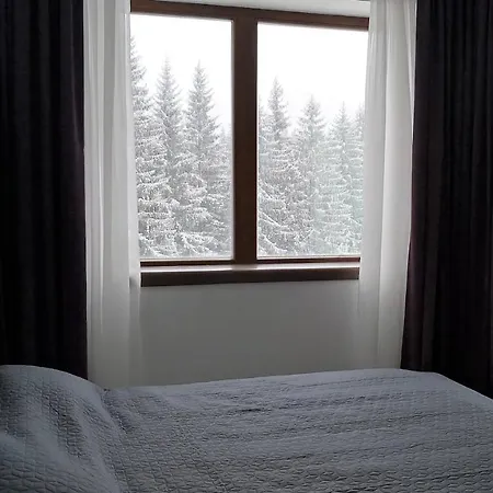 Silver Mountain A21 Friendly Apartment